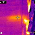 Infrared photo of exterior active hive